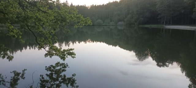 499464525_1148011880461355_5097595026069218399_n