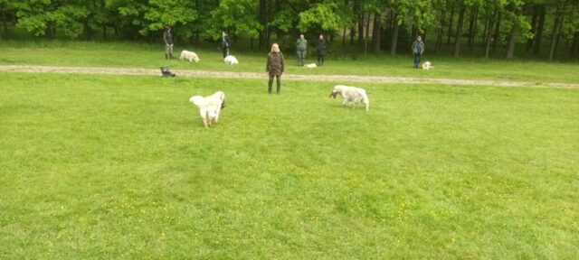 499711964_1148012073794669_7023738410194216806_n