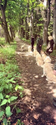 499801562_1148010653794811_7042395457657002153_n