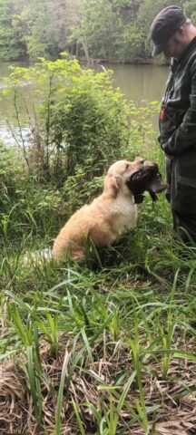 500094485_1148010993794777_2248282243299194990_n