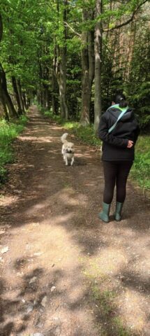 500108906_1148010240461519_3968798982632290284_n