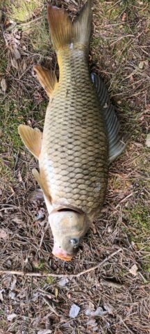 500129904_1148011710461372_4523077179620166970_n