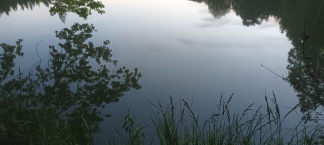 500212938_1148011790461364_3938414205459734679_n