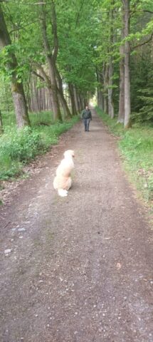 500246899_1148010347128175_1914628928032837303_n