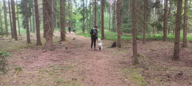 500478976_1148010917128118_7815793759357502332_n