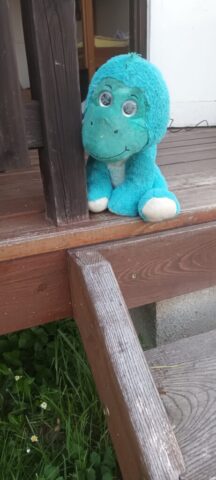 500577148_1148011613794715_6604549162035382390_n