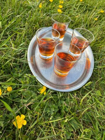 500579282_1148010027128207_8910440069920060436_n