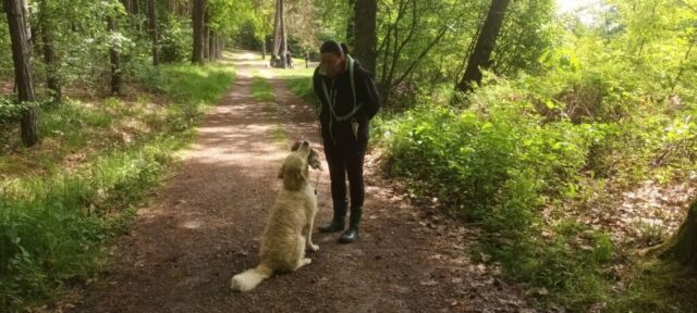 500765997_1148009337128276_4407041603500670118_n