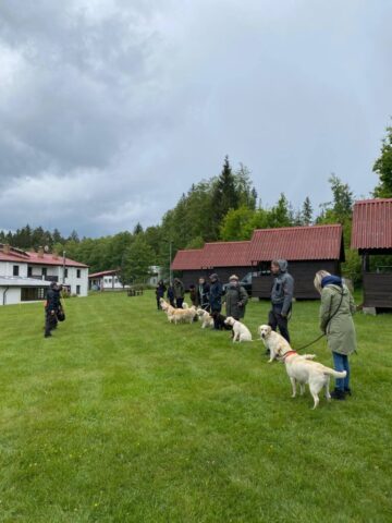 500768905_1148010140461529_1847964362644584853_n