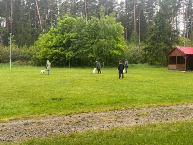 500775802_1148010077128202_9013903900235723958_n