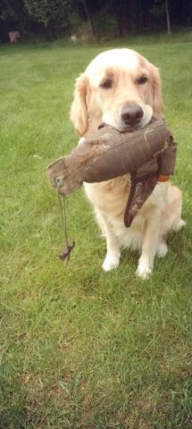 500994978_1148009990461544_8482974044756725142_n