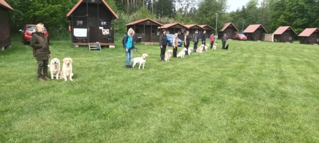 501067950_1148011997128010_2213790900745744137_n