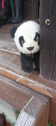 501160977_1148011547128055_1668515224590914406_n