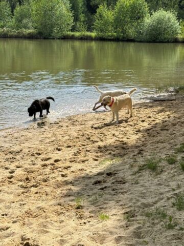 501161658_1148011297128080_8161507924528453375_n