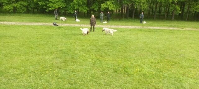 501305980_1148012147127995_2580711935867001924_n