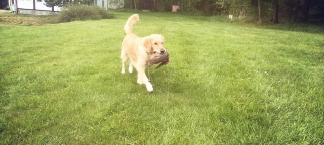 501319172_1148010800461463_3986951557683134653_n