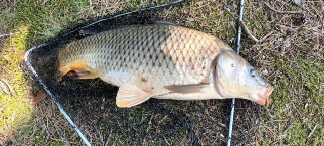 514355481_1177382664190943_6258545832460327793_n