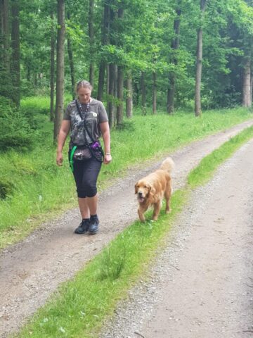 514404148_1177375494191660_5780564583125621129_n