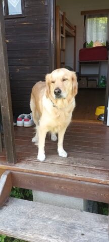 514404568_1177384414190768_8521254190411633127_n