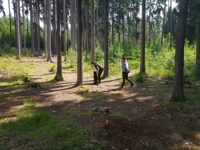 514416489_1177375247525018_2961739160595185618_n