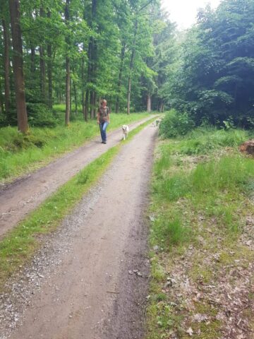 515276762_1177375380858338_8827900731537547798_n