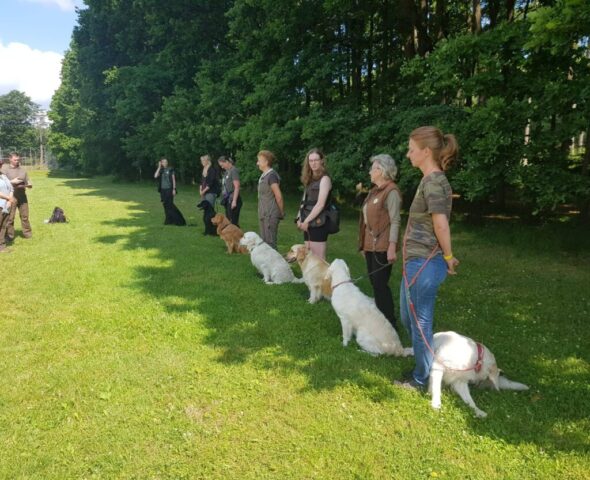 515279813_1177367000859176_3609334091111409444_n