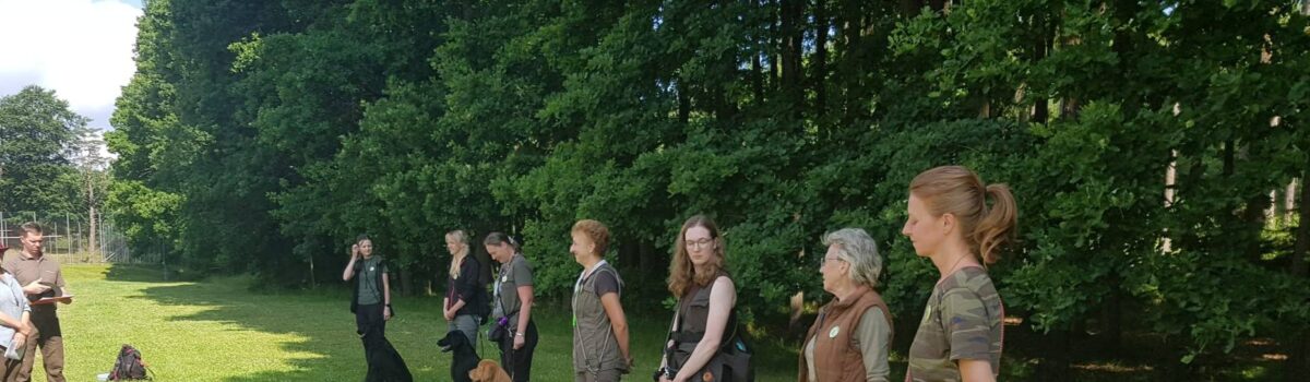 Kemp II & III | 14. – 22.6.2025 