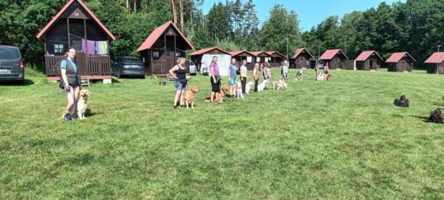 515279946_1177376190858257_8808176939017135433_n