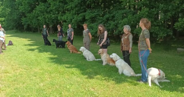 515325304_1177375924191617_492837465475424508_n