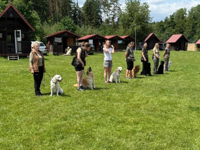 515548771_1177366934192516_3792386910784607401_n