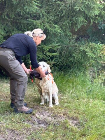 515552028_1177373897525153_3933974185286316840_n