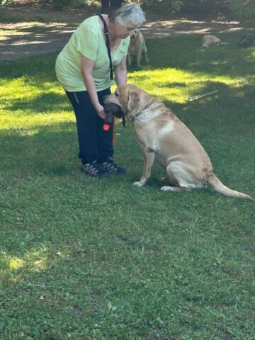 515725526_1177373827525160_2157965961886050345_n