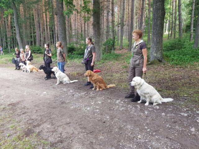 515744506_1177376080858268_2251091852372909247_n