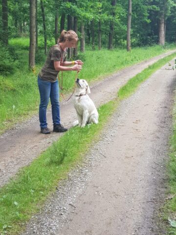 515752626_1177375567524986_4382932759926124710_n