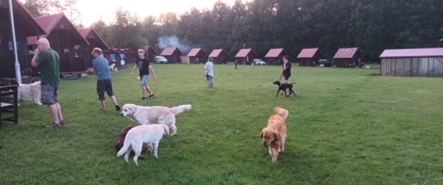 515768664_1177383864190823_7668861350317352473_n