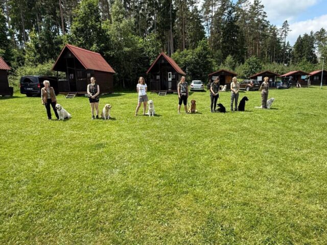 515896552_1177370280858848_4044052443497620232_n