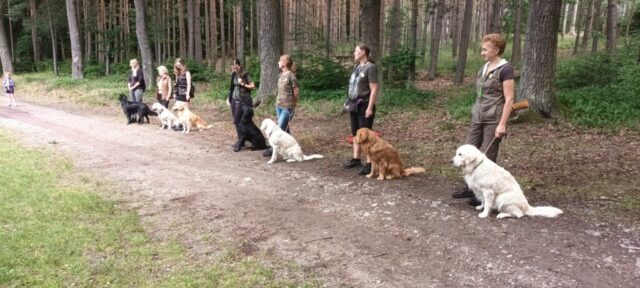 515920758_1177376017524941_7566700899385455212_n