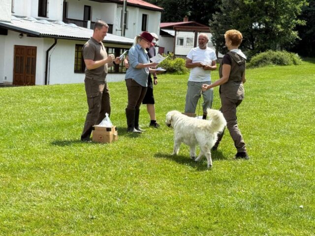 515930549_1177370430858833_5793100693510972853_n