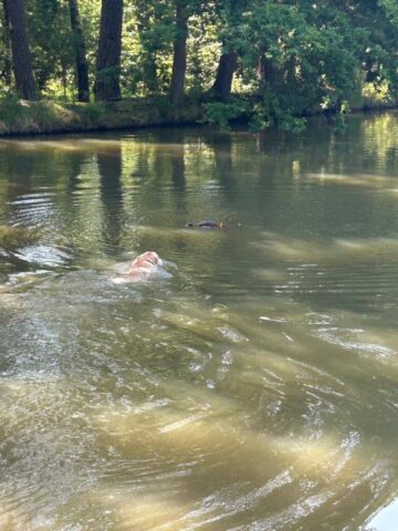 515954336_1177373767525166_4946706551664594358_n