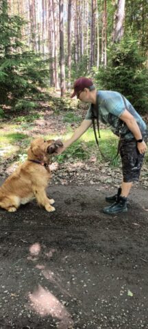 515980590_1177376357524907_7813356962974023073_n