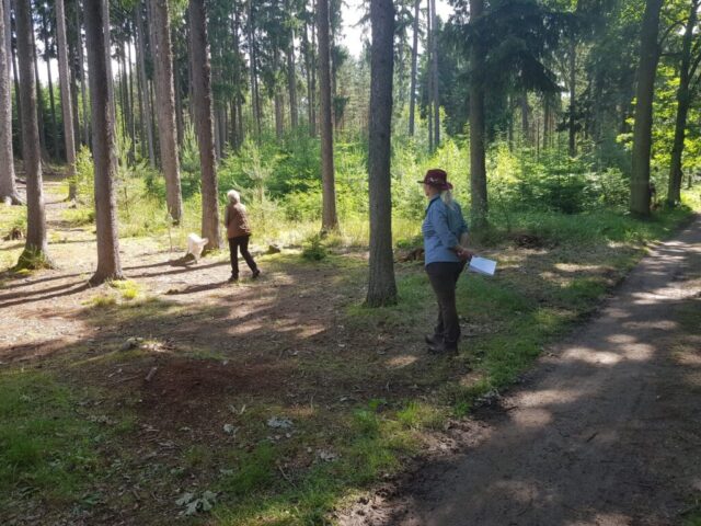 516080660_1177374934191716_7673459830230577452_n