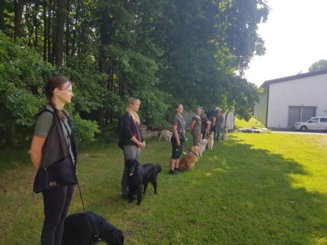 516093128_1177375084191701_391174985323199488_n