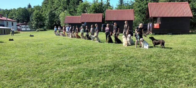 516229288_1177376284191581_3672844902350991276_n