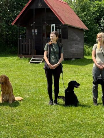 516373061_1177369980858878_8359824404682263262_n