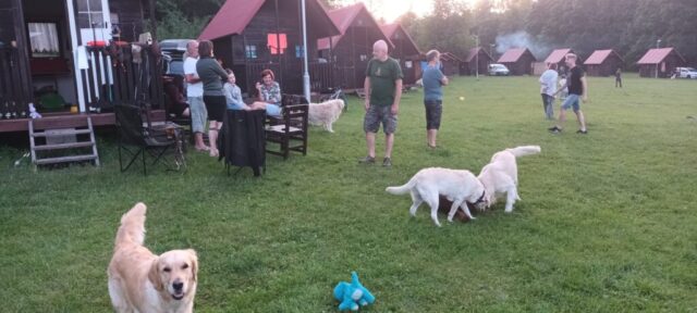 516392107_1177384194190790_497845503494903621_n