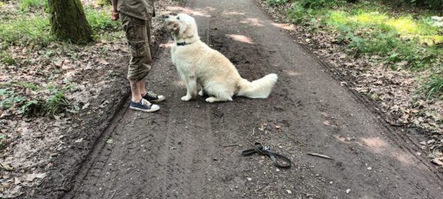 516523619_1177376477524895_238496723547706882_n