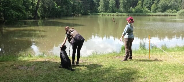 516601702_1177375734191636_4383966192085025608_n