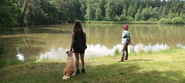 516607895_1177375864191623_3370742025008325021_n