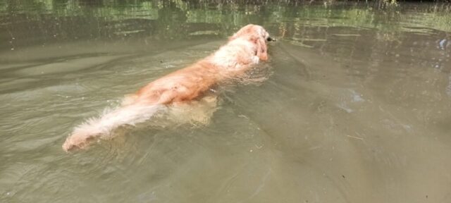 516722801_1177382720857604_5286509870813956669_n