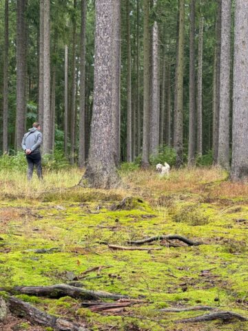 549210925_1237477441514798_402882540396538385_n